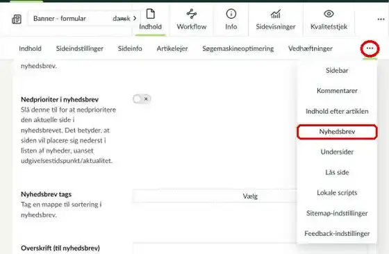 Menuen med flere faner med Nyhedsbrev markeret