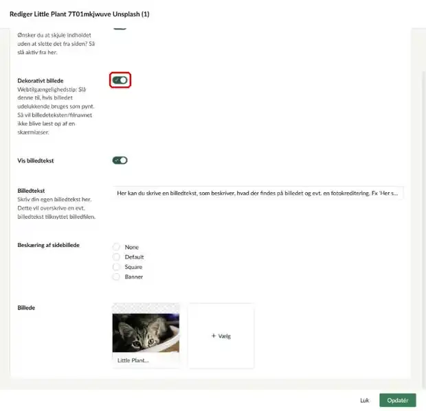Feltet Dekorativt billede