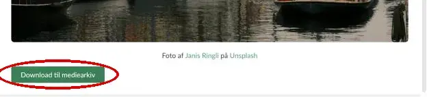 Knappen Download til mediearkiv