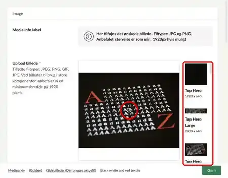 Fokuspunktet på billedet og eksemplerne på de forskellige formater